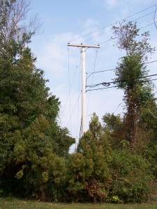 Sight of the "singing tree", this pole has been completely reworked